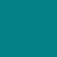 

Rosco Roscolux Fluorescent Green, 20x24"