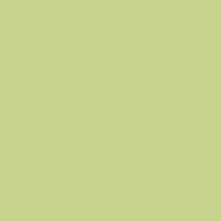 

Rosco E-Colour #244 Plus Green 21x24" Sheet