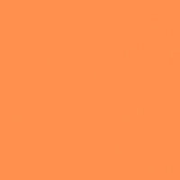 

Rosco Roscolux #317 Apricot Filter, 24"x25' Roll