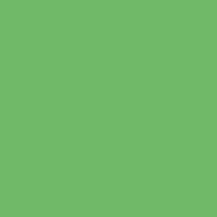 

Rosco Roscolux Supergel #386 Lighting Leaf Green Filter, 20x24" Sheet