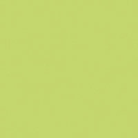 

Rosco Roscolux #388 Lighting Gaslight Green Filter, 24"x25' Roll