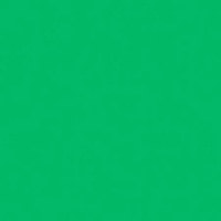 

Rosco Roscolux #389 Lighting Chroma Green Filter, 24"x25' Roll