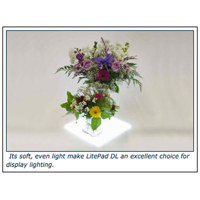 

Rosco LitePad DL 6x12" LED Panel with Transformer, (120VAC)