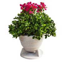 

Rockustics 6.5" 2-Way Outdoor OmniPlanter Speaker, Granite Gray