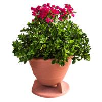 

Rockustics 6.5" 2-Way Outdoor OmniPlanter Speaker, Terra Cotta