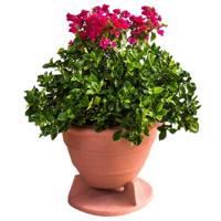 

Rockustics 8" 2-Way Outdoor OmniPlanter Speaker, Terra Cotta