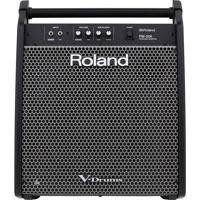 

Roland PM-200 180W Personal Drum Monitor, 12" Woofer