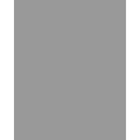 

Rosco Cinegel #3763 Roscolex N.6 Acrylic Panel, 2 Stop, 4x8', 5-Pack