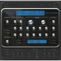 

Rob Papen RP-Verb and RP-Delay Software Plug-In, Electronic Download