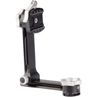 

Really Right Stuff PG-01 Compact Pano-Gimbal Head with Lever-Release Clamp and Flat Dovetail Base