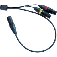 

Rycote ConnBox CB3 Microphone Cable Connection Box for Most M/S Stereo Paired Microphones with 2x 3-Pin XLR Connections