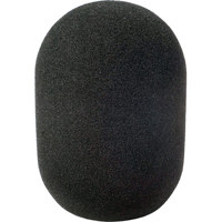 

Rycote 104422 45/100 Large Diaphragm Mic Foam Windscreen, Single