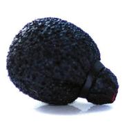 

Rycote Neoprene-Coated Water-Resistant Mini Lavalier Foam with Rubber Compression Collar, Black