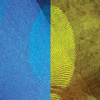 

Safariland Blitz-Green Magnetic Fingerprint Powder, 1oz