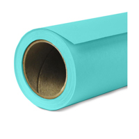 

Savage Widetone Seamless Background Paper, 107" wide x 36' Baby Blue, #47