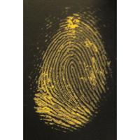 

Safariland 1 2-Indanedione Fluorescent Latent Print Dye, 10g