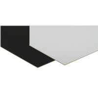 

Savage 20x24" ProCore Double Thick Mat and Mount Board, Black/White, 24 Sheet/Carton
