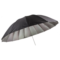 

Studio Assets 6' Silver Parabolic Umbrella