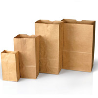 

Safariland Plain Paper Evidence Bags, Style 4, Bundle of 100