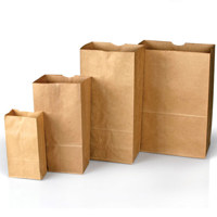 

Safariland Plain Paper Evidence Bags, Style 12, Bundle of 100