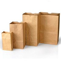 

Safariland Plain Paper Evidence Bags, Style 86, Bundle of 100