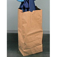 

Safariland Extra-Large Evidence Paper Bags, 50 Pack