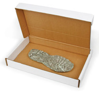 

Safariland Footprint/Dustprint Evidence Boxes, Pack of 25
