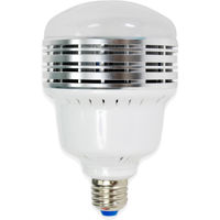 

Savage 50W Bi-Color LED Light Bulb, 350W Equivalent
