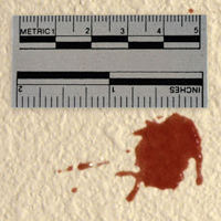 

Safariland Large-Number Photo Scale Tape, Roll of 150