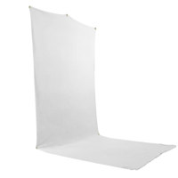 

Savage 5x12' White Background Travel Backdrop
