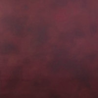 

Savage Scarlet Canvas Backdrop, 5x7'
