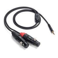 

Samson Tourtek Pro 3' Breakout Cable with 1/8" TRS Stereo to Dual XLR Female Connector