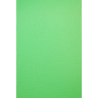 

Savage 5x12' Infinity Vinyl Background, Chroma Green