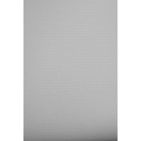 

Savage 5x12' Infinity Vinyl Background, Photo Gray