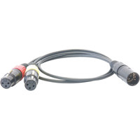 

Schoeps AK 2U/SU 19.5" 2x XLR-3F to XLR-5M Adapter Cable