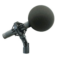 

Schoeps W5 3.5" Solid Foam Ball Windscreen for Omnidirectional Microphones, Gray