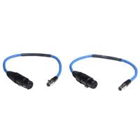 

Sound Devices XL-2F 25" Input Cable with XLR-F to TA3-F Connector, Pair