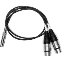 

Sound Devices XL-TA5XF2 24" TA5F to 2x XLR-F Cables, 2 Pack
