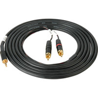 

Sescom SES-IPOD-RCA10 3.5mm Mini Stereo to Dual RCA Cable M / M, 10 Feet