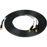 

Sescom SES-IPOD-RCA15 3.5mm Mini Stereo to Dual RCA Cable M / M, 15 Feet