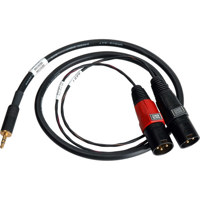 

Sescom SES-IPOD-XLRM03 3.5mm Stereo to Dual XLR Male Mono Audio Cable, 3 Feet
