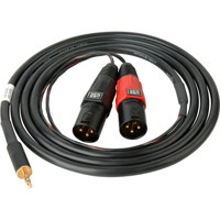 

Sescom SES-IPOD-XLRM06 3.5mm Stereo to Dual XLR Male Mono Audio Cable, 6 Feet
