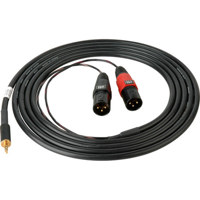 

Sescom SES-IPOD-XLRM10 3.5mm Stereo to Dual XLR Male Mono Audio Cable, 10 Feet
