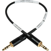 

Sescom LN2MIC-TASDR100 3.5 Line to Mic 35dB Attenuation 9" DSLR Cable for Tascam DR-100