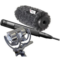 

Sennheiser MKH 50P48 Boom Kit Consists of MKH 50P48 Wired Super-Cardioid Condenser Studio Microphone, Rycote Softie Long Hair Wind Diffusion 5cm Long with Large Hole, Rycote InVision INV-HG mkII Microphone Suspension - Lyre Shockmount