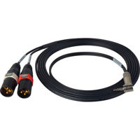 

Sescom 10' XLR Stereo Mic to DSLR Audio Input Adapter Cable, 2x 3-Pin XLR Male and 3.5mm TRS Male