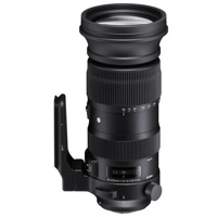 

Sigma 60-600mm F4.5-6.3 DG OS HSM "Sports" Lens for Nikon Digital Cameras