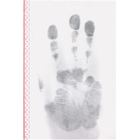

Sirchie 135L 6x9" Latent Palm Print Lifters with Backing, Set of 12, Black