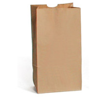 

Sirchie Blank Kraft Evidence Bag, 5x3-1/8x9-7/8", Set of 100