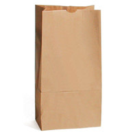 

Sirchie Blank Kraft Evidence Bag, 7x4 1/2x13 3/4", Set of 100